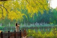 coc九游版下载-COC九游版下载体验与特色解读