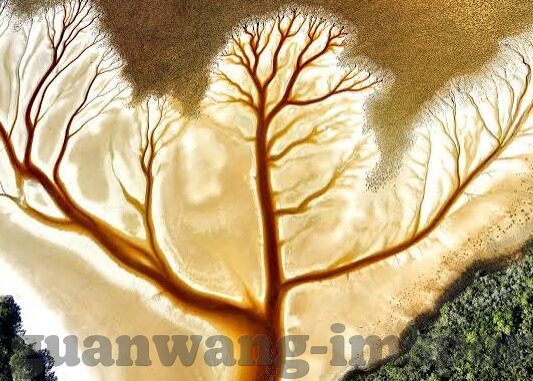 世界足球比分实时-实时比分背后的足球江湖，一场永不落幕的数字狂欢